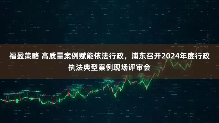 福盈策略 高质量案例赋能依法行政，浦东召开2024年度行政执法典型案例现场评审会