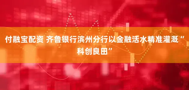付融宝配资 齐鲁银行滨州分行以金融活水精准灌溉“科创良田”